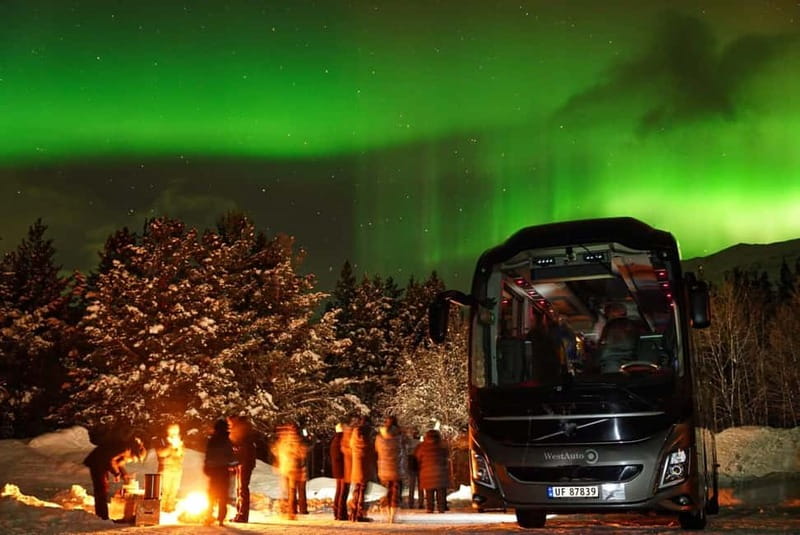 Tromsø: Northern Lights Safari with Expert Guides and Photos - The included photo service