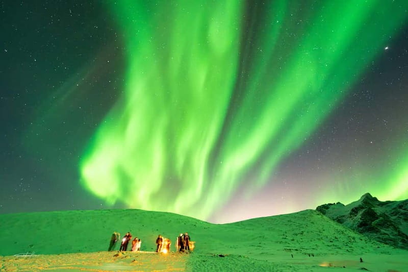 Tromsø: Northern Lights Safari with Expert Guides and Photos - Comfort, safety, and the cold