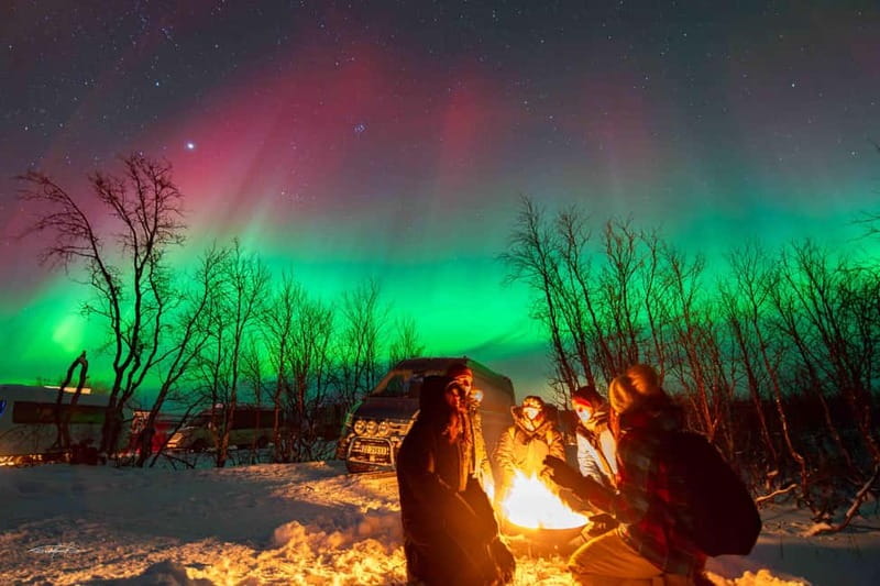 Tromsø: Northern Lights Safari with Expert Guides and Photos - Is $61 good value?