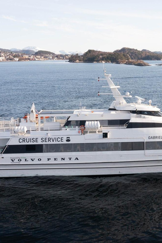 Tromsø Whale Safari with MS Gabriele - Should you book the MS Gabriele whale safari?