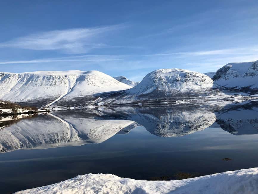 Tromsø Whale Safari with MS Gabriele - Is $207 good value?