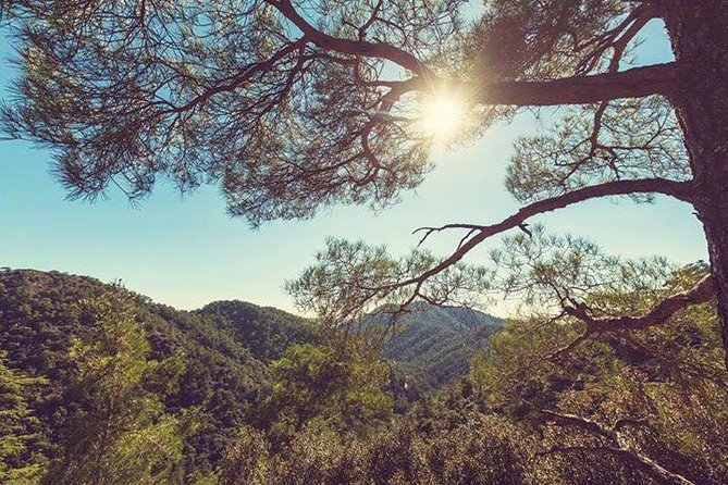 Troodos Jeep Safari from Protaras,Ayia napa & Larnaca - Pebble streets, lace, silver, and village time