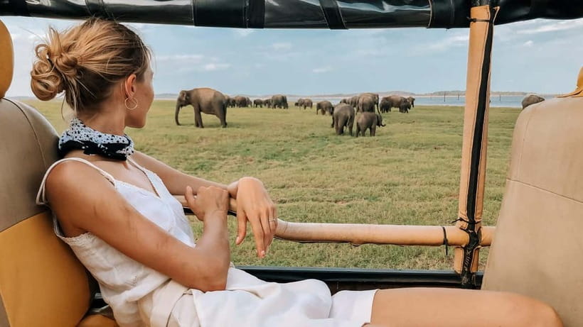 UDAWALAWA SAFARI TOUR from HAMBANTOTA PORT (Shore Excursion) - The people who shape the experience