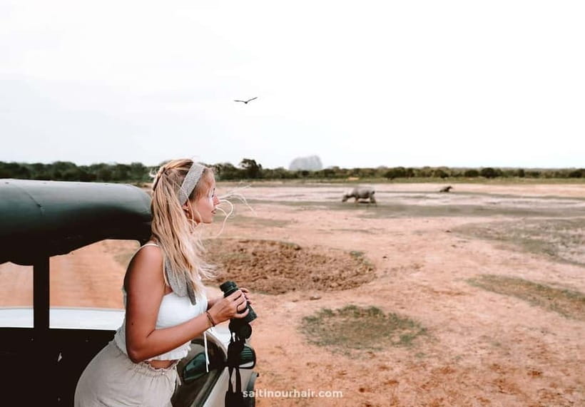 UDAWALAWA SAFARI TOUR from HAMBANTOTA PORT (Shore Excursion) - Should you book the Udawalawe safari from Hambantota?