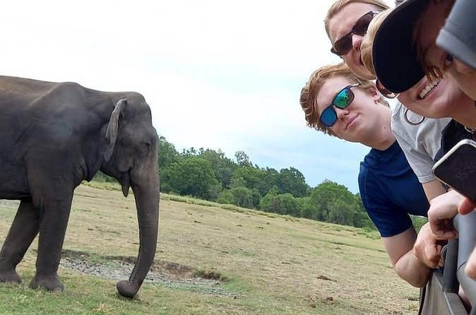 Udawalawe Safari Adventure - The full cost, not just the $18 headline