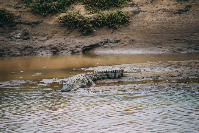 Udawalawe Safari DayTrip frm Bentota/Kalutara/Ahungalla/Hikkaduwa - Who will get the most from this outing
