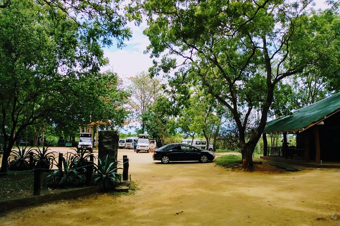 Udawalawe Safari - Private & Customize Tour - Lunch, water, and a less complicated return