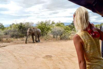 Udawalawe Safari Private Day Trip with Lunch – All Inclusive