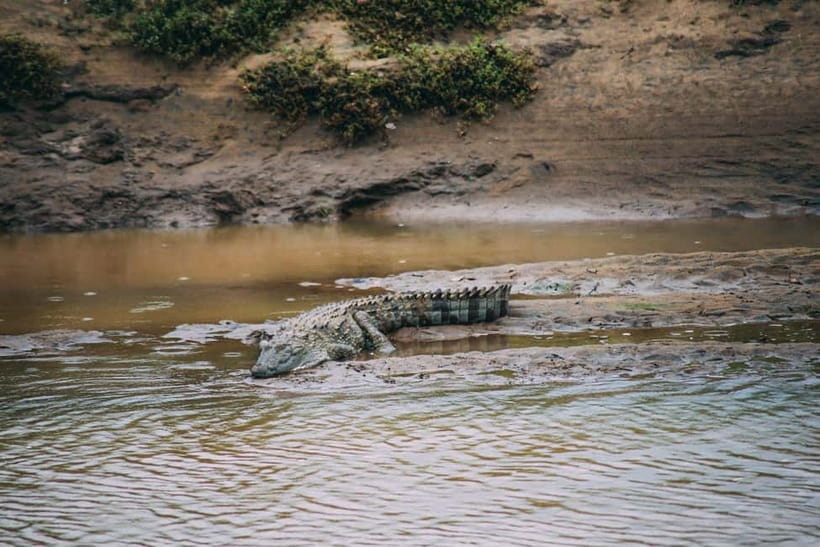 Udawalawe Safari Private Day Trip with Lunch - All Inclusive - Practical details that make the day easier