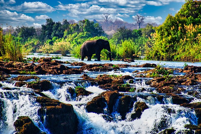 Unique Safari Game Drives in Zambezi National Park, 4 Options - A short ride from Victoria Falls to wild Zambezi bush