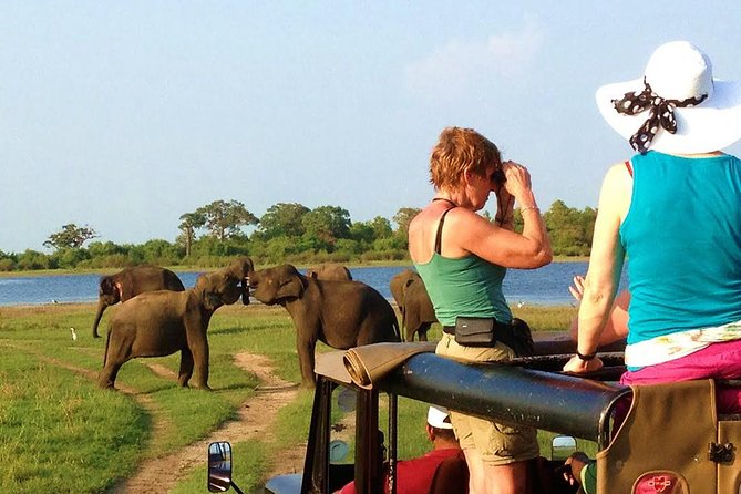 VALUE PACK! One Day Safari Tour to Yala and Udawalawa Parks - The three-hour Udawalawe game drive