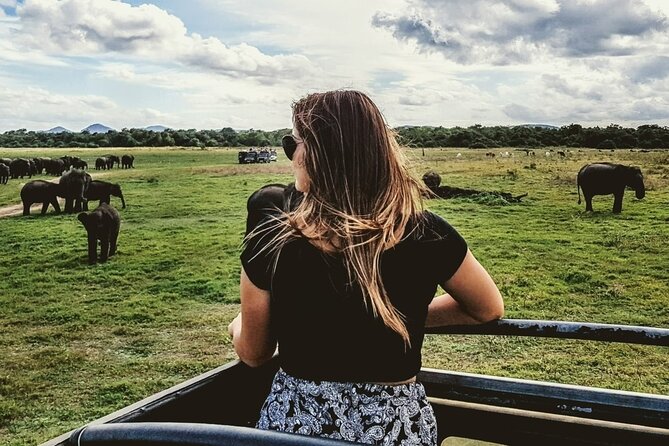 VALUE PACK! One Day Safari Tour to Yala and Udawalawa Parks - What the transport is really like