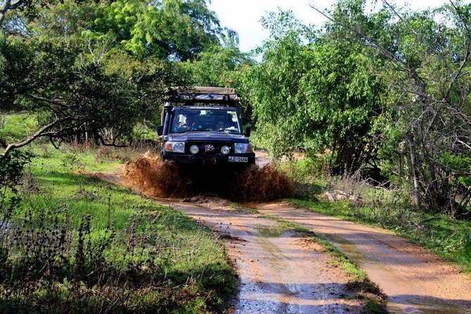VALUE PACK! One Day Safari Tour to Yala and Udawalawa Parks - How the guides affect the day
