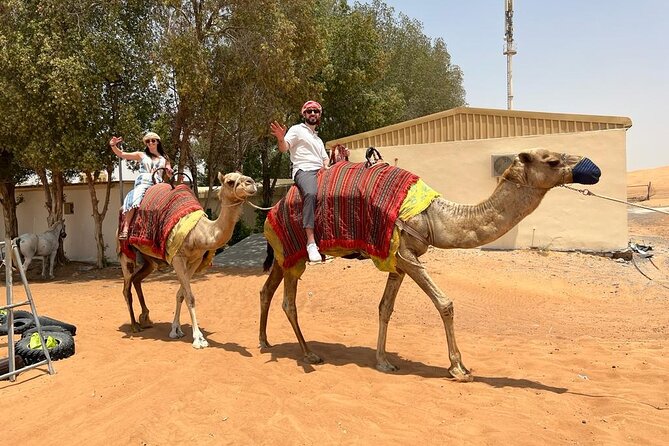 Vip Desert Safari Dubai with Camel Riding BBQ Dinner & Live Shows - Sandboarding and the sunset photo stop