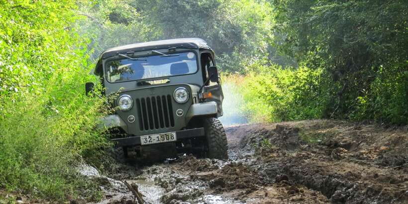 Wasgamuwa: Wasgamuwa National Park Private 3-Hour Safari - Why Wasgamuwa is worth your time