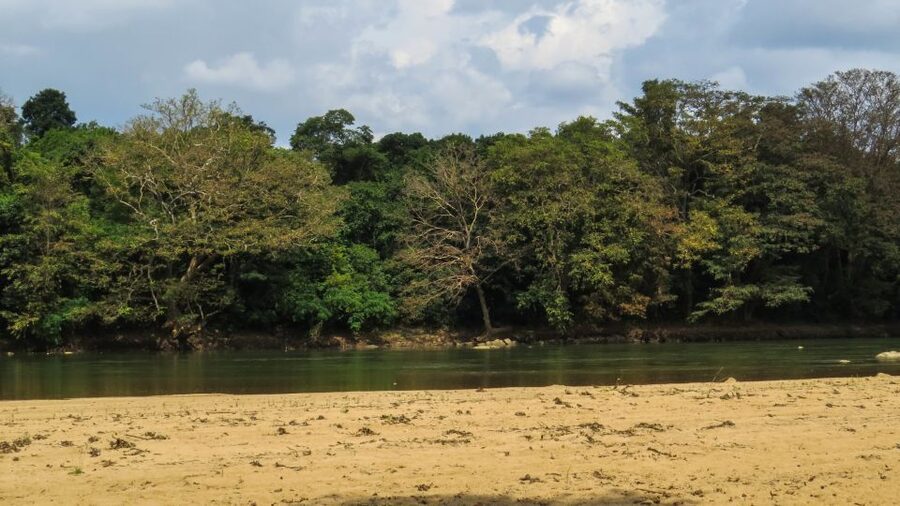 Wasgamuwa: Wasgamuwa National Park Private 3-Hour Safari - The best months for elephant herds