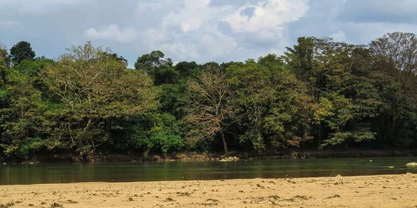 Wasgamuwa: Wasgamuwa National Park Private 3-Hour Safari - What the $27 price really covers