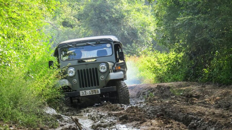 Wasgamuwa: Wasgamuwa National Park Private 3-Hour Safari - Who will enjoy this safari most