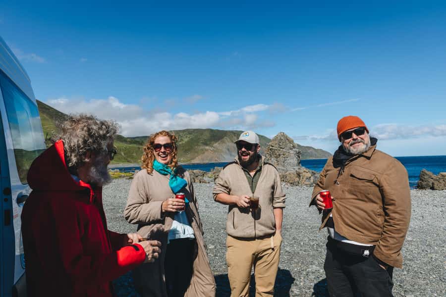 Wellington: Half Day Seal Coast Safari - Should you book the Seal Coast Safari?