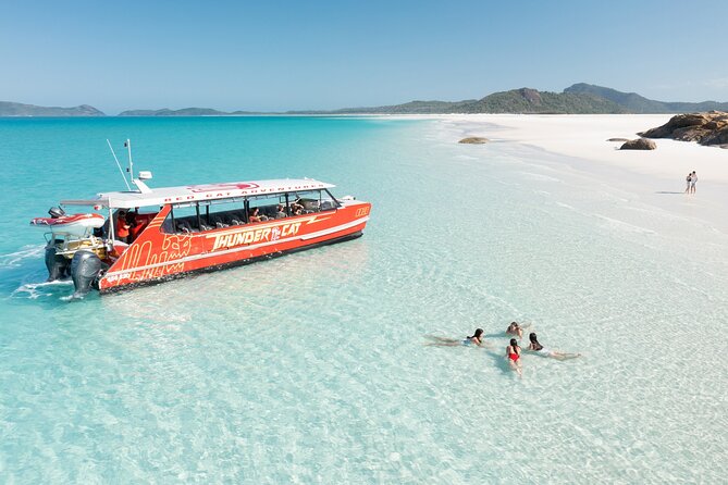 Whitsunday Crocodile Safari - What else you may see on the water