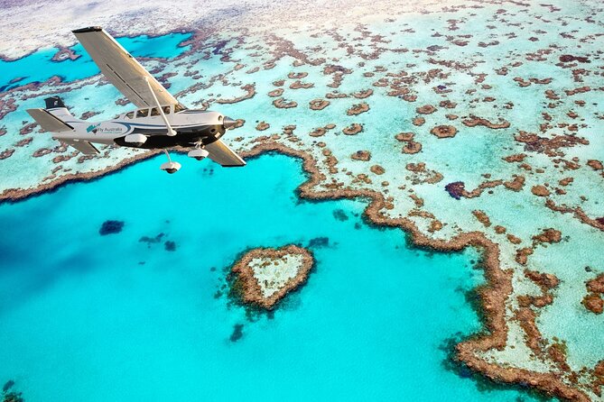 Whitsunday Crocodile Safari - A generous Aussie BBQ lunch
