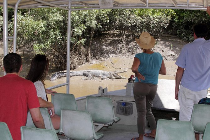 Whitsunday Crocodile Safari - Two hours on the Proserpine River