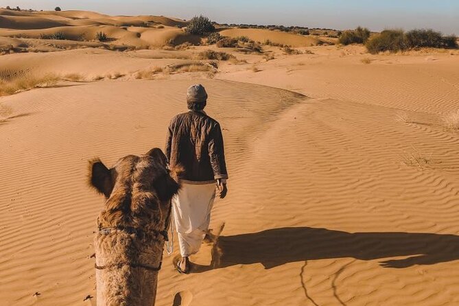 Wild Desert Overnight Safari - Camel riding as the sun drops