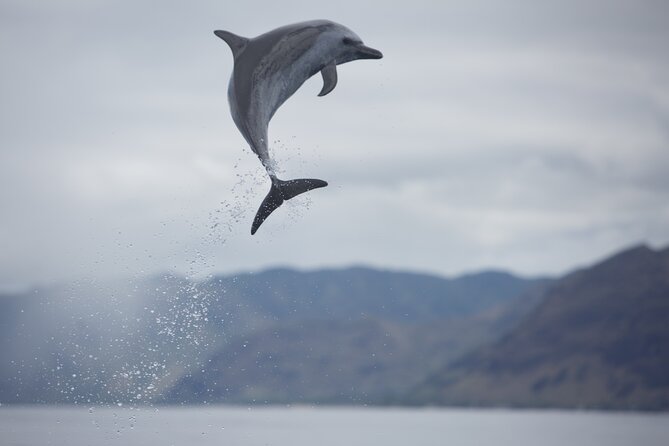 Wild Dolphin Watching and Snorkel Safari Off West Coast of Oahu - What the boat ride feels like in real conditions