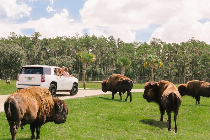 Wild Florida Drive-Thru Safari and Gator Park Admission - The Giraffe Platform and Walter