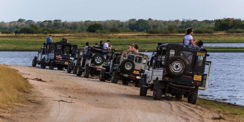 Wilpattu National Park Safari Tour from Colombo - What the $105 Price Really Covers