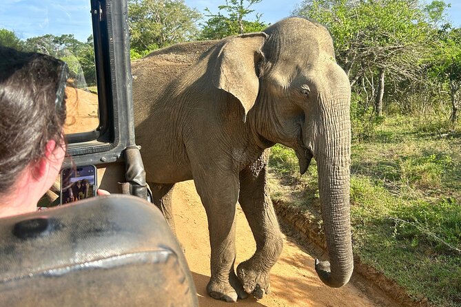 Yala 4h Jeep Safari: Guided Wildlife Experience (All Inclusive) - The guides and the human side of the trip