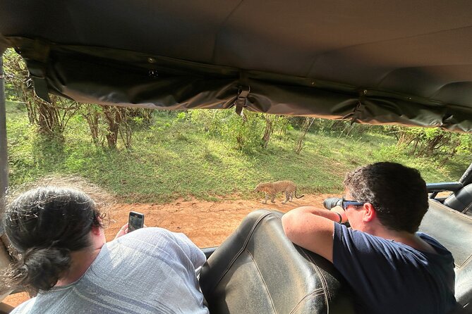 Yala 4h Jeep Safari: Guided Wildlife Experience (All Inclusive) - Practical details that affect your day