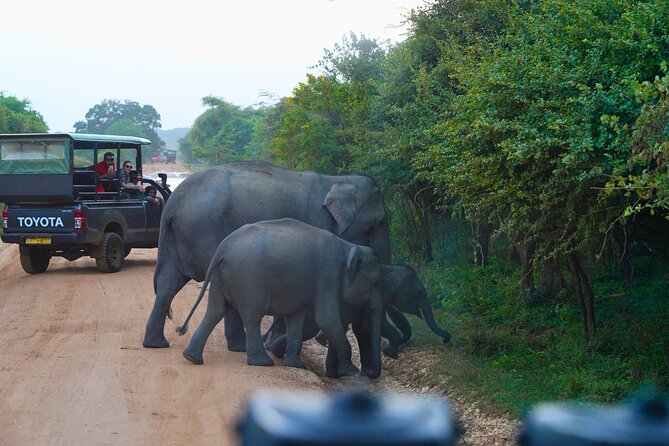 Yala 4h Jeep Safari: Guided Wildlife Experience (All Inclusive) - Switching from car to 4x4 jeep
