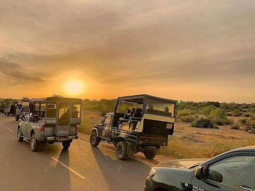 Yala National Park: 7 hour & 12 hour Leopard Safari Tours - Looking for leopards with Anupa, Isuru, Kavee, and Sule