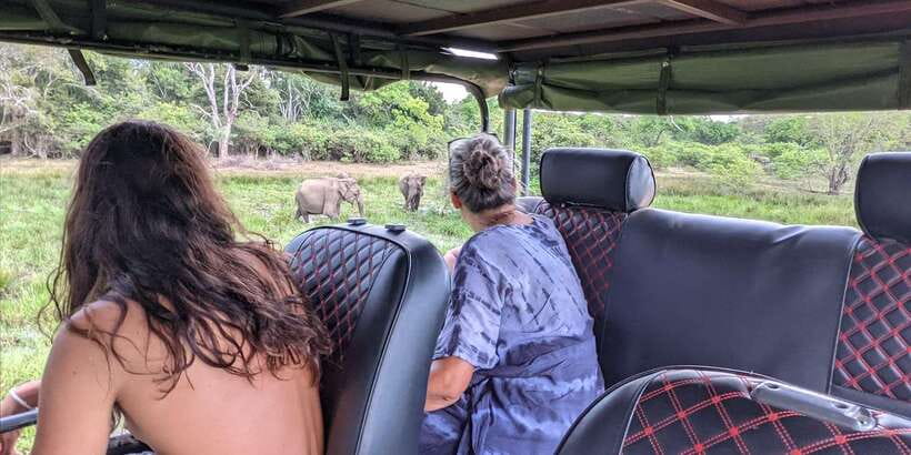 Yala National Park : Full Day Safari(04:30-18:00) - Breakfast, lunch, and the long middle break