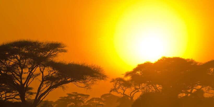 Yala National Park: Half, 7-Hour, or Full-Day Safari & Meals - Who should book this Yala safari