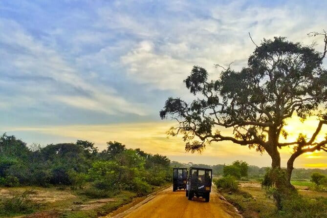 Yala National Park Private Jeep Safari From Colombo & Negombo - Key points before you book