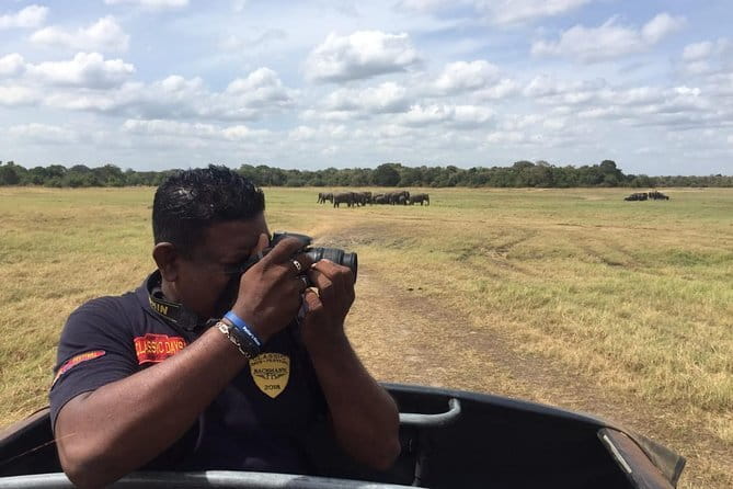 Yala National Park Private Jeep Safari From Colombo & Negombo - What the private format really adds
