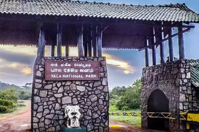 Yala National Park Private Jeep Safari From Colombo & Negombo - The driver matters as much as the jeep