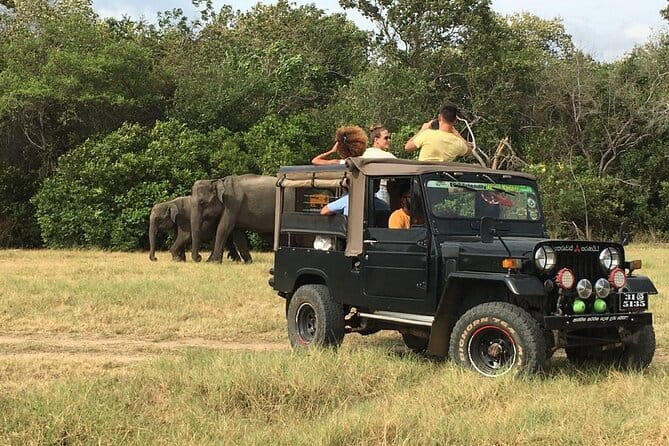 Yala National Park Private Jeep Safari From Colombo & Negombo - A closer look at the included extras