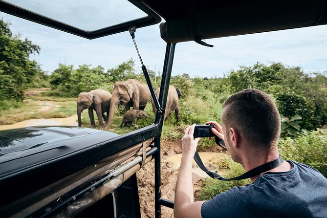Yala National Park Wildlife Safari/ Game Drive - by Ajith Safari - Morning safari: cold air and the best start