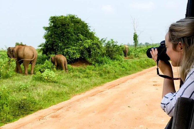 Yala Safari Day Trip from Bentota/ Kalutara/ Ahungalla/ Hikkaduwa - Is $200 a fair price?