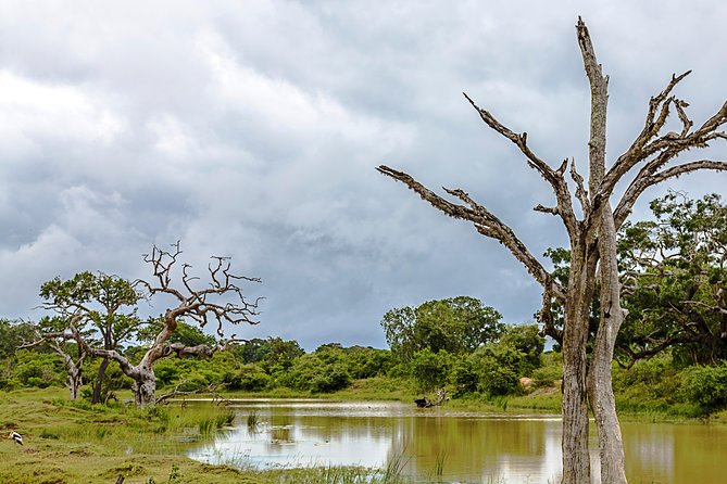 Yala Safari Tour from Hambantota Port by Ajith Safaris - The second park section and the wildlife odds
