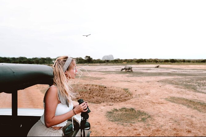 Yala Safari Tour from Hambantota Port by Ajith Safaris - Timing, communication, and returning to the ship