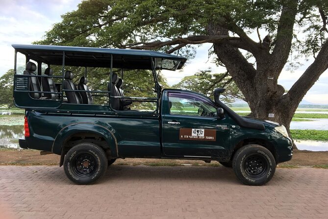 Yala Safari Tour from Hambantota Port by Ajith Safaris - Who should choose this Yala outing