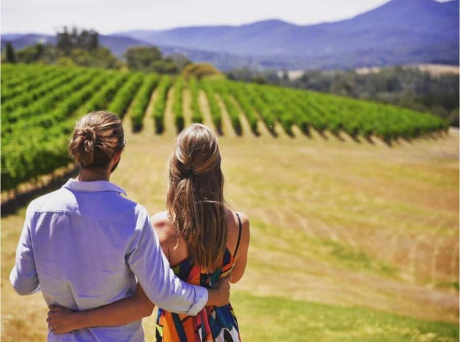 Yarra Valley Foodies Tour with Chandon and Kangaroo Safari! - What makes this Yarra Valley tour worth considering