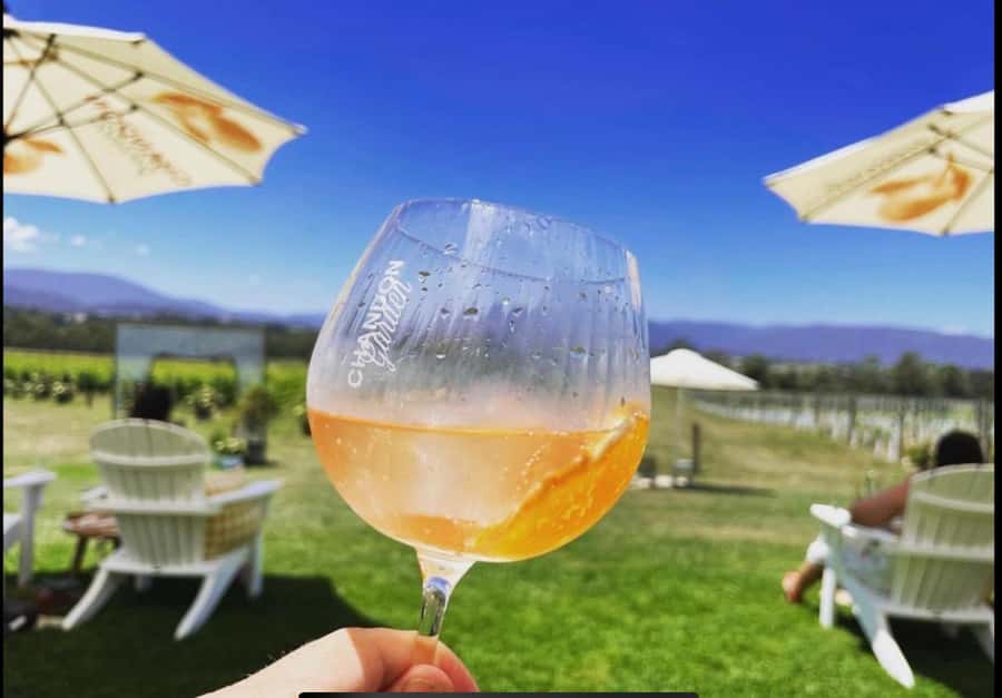 Yarra Valley Foodies Tour with Chandon and Kangaroo Safari! - Why the 11:30am start works well