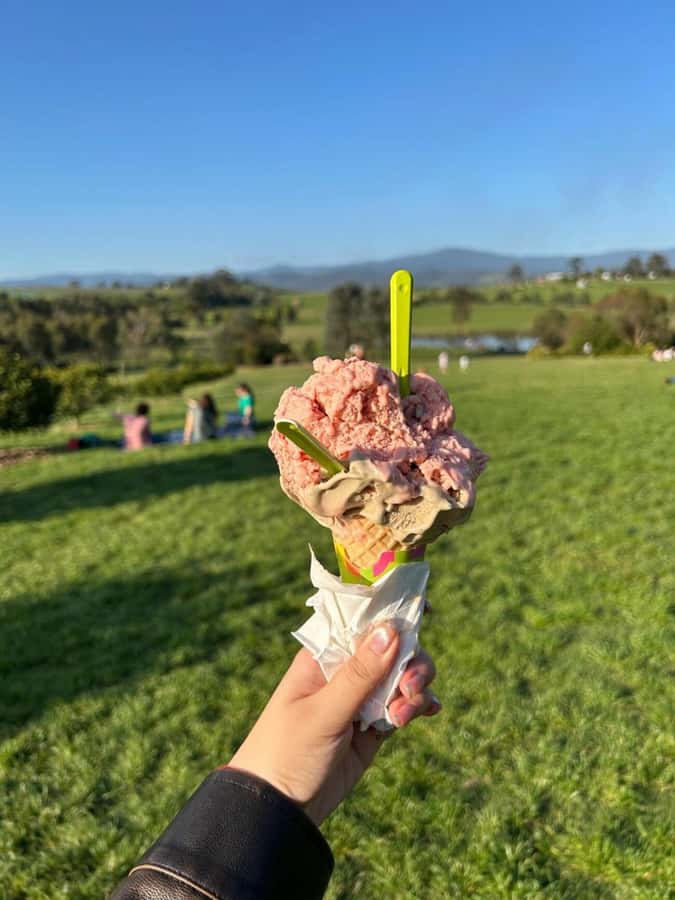 Yarra Valley Foodies Tour with Chandon and Kangaroo Safari! - Chocolate and ice cream add a lighter finish