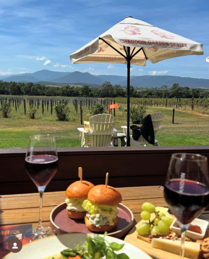 Yarra Valley Foodies Tour with Chandon and Kangaroo Safari! - The kangaroos are the payoff