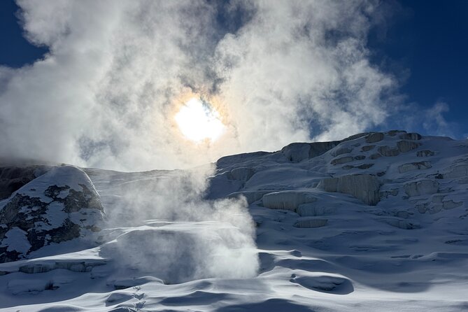 Yellowstone Winter Wildlife & Snowshoe Tour | PRIVATE - Roosevelt Arch and the Gardiner entrance
